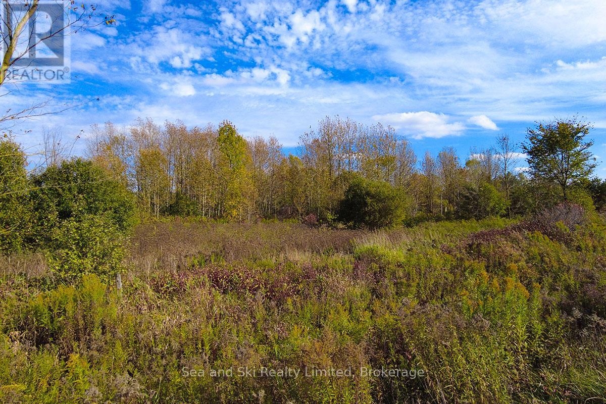 31313 Grey Road 14 Road, Southgate, Ontario N0G 1N0 - Photo 15 - X12465495