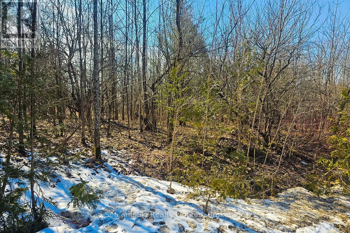 180 Bowles Bluff Road, Grey Highlands, Ontario  N0C 1H0 - Photo 4 - X12769362