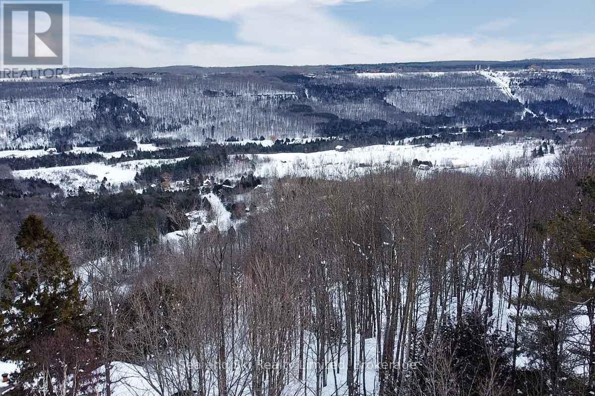 180 Bowles Bluff Road, Grey Highlands, Ontario  N0C 1H0 - Photo 3 - X12769362