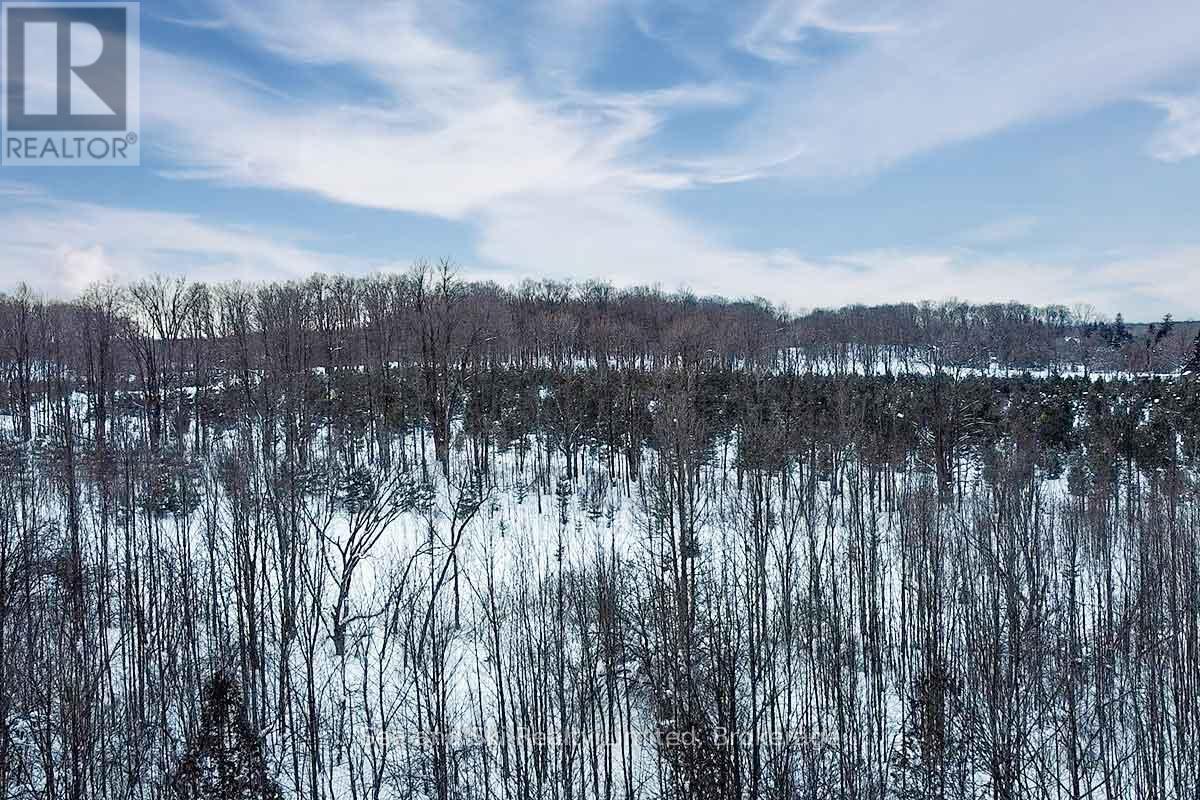 180 Bowles Bluff Road, Grey Highlands, Ontario  N0C 1H0 - Photo 7 - X12769362