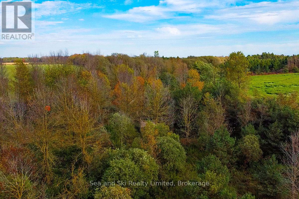 31313 Grey Road 14 Road, Southgate, Ontario N0G 1N0 - Photo 7 - X12465495