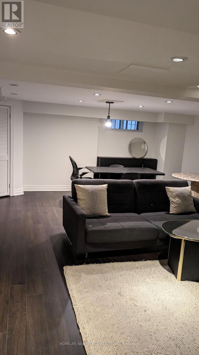 Lower - 16 Laxton Avenue, Toronto, Ontario  M6K 1K9 - Photo 19 - W12990512