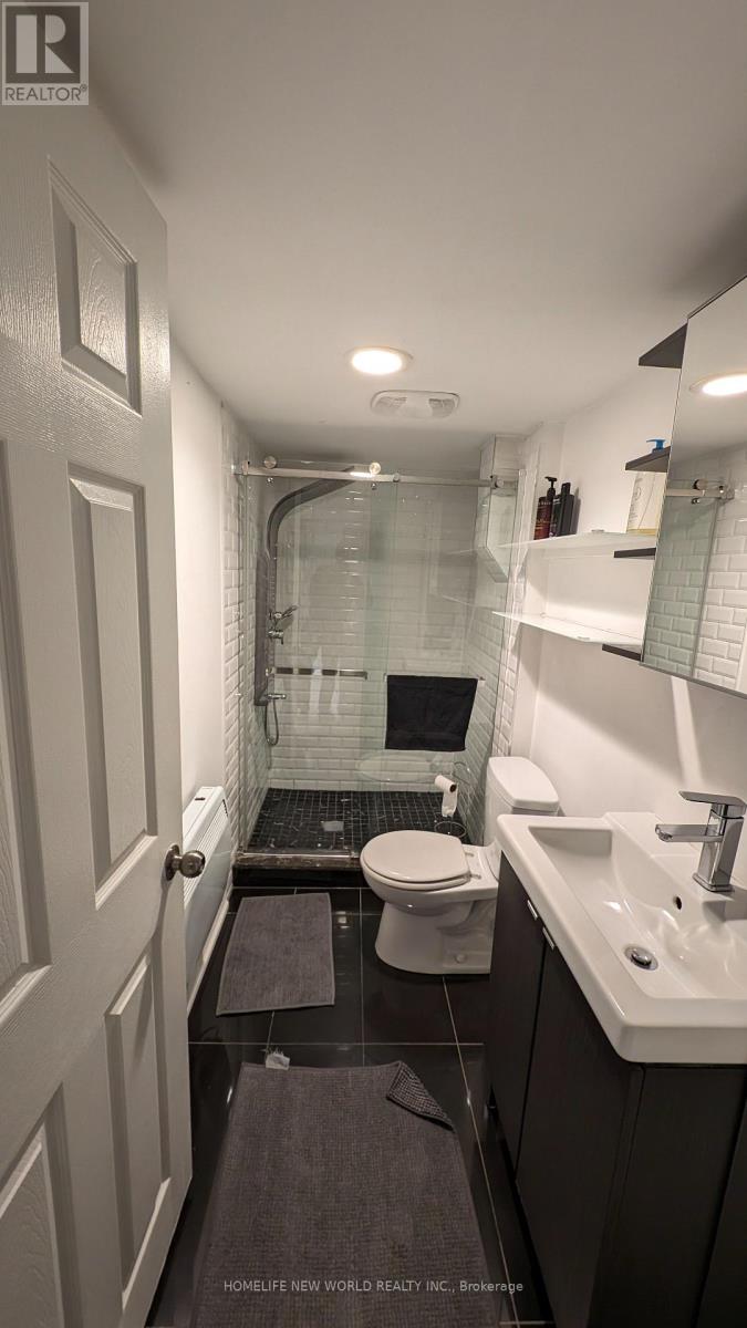 Lower - 16 Laxton Avenue, Toronto, Ontario  M6K 1K9 - Photo 27 - W12990512