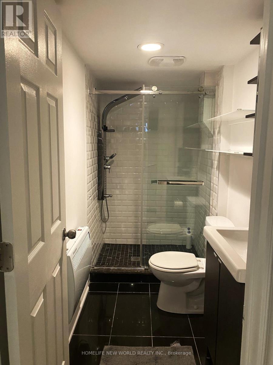 Lower - 16 Laxton Avenue, Toronto, Ontario  M6K 1K9 - Photo 29 - W12990512