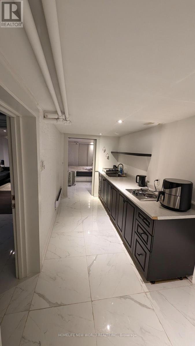 Lower - 16 Laxton Avenue, Toronto, Ontario  M6K 1K9 - Photo 32 - W12990512