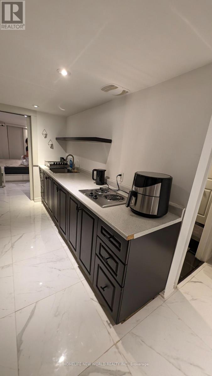 Lower - 16 Laxton Avenue, Toronto, Ontario  M6K 1K9 - Photo 33 - W12990512