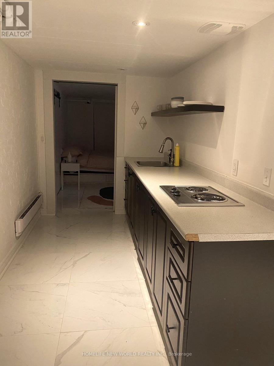 Lower - 16 Laxton Avenue, Toronto, Ontario  M6K 1K9 - Photo 4 - W12990512