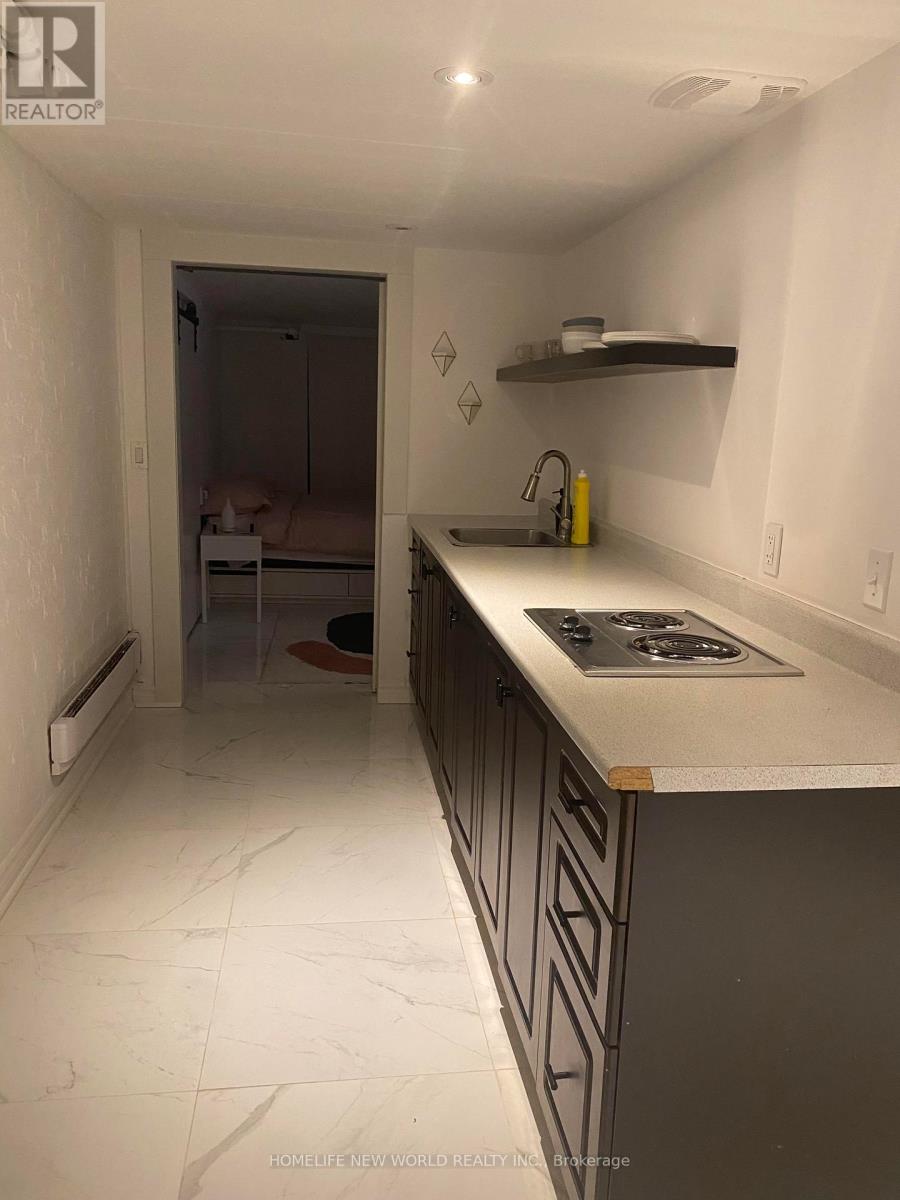 Lower - 16 Laxton Avenue, Toronto, Ontario  M6K 1K9 - Photo 7 - W12990512