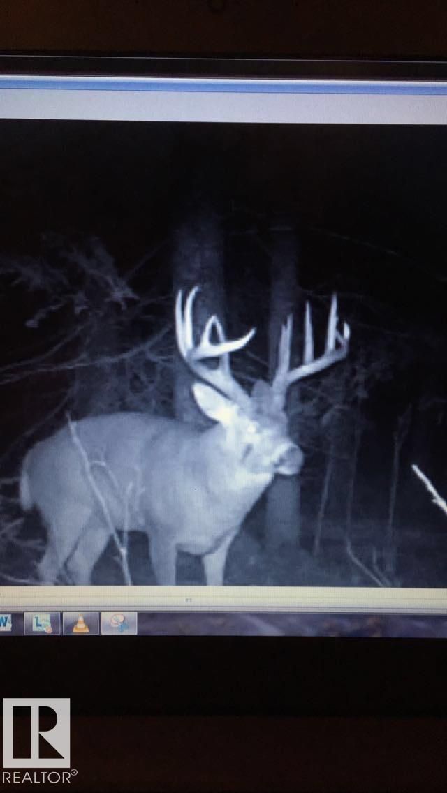 Rge Rd 261 Twp Rd 630, Rural Westlock County, Alberta  T0G 0S0 - Photo 5 - E4455313