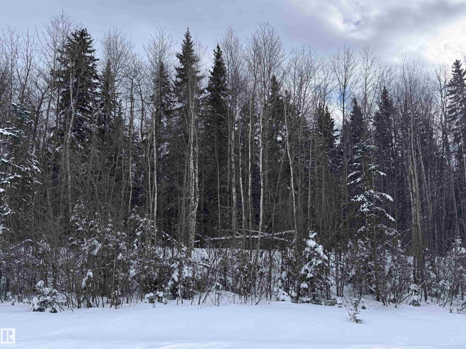 Rge Rd 261 Twp Rd 630, Rural Westlock County, Alberta  T0G 0S0 - Photo 9 - E4455313