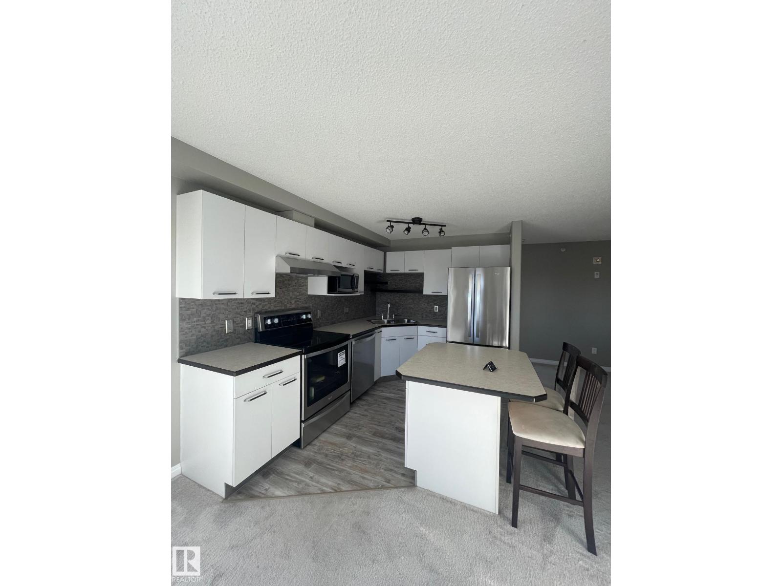 #509 11325 83 St Nw, Edmonton, Alberta  T5B 4W5 - Photo 13 - E4482032