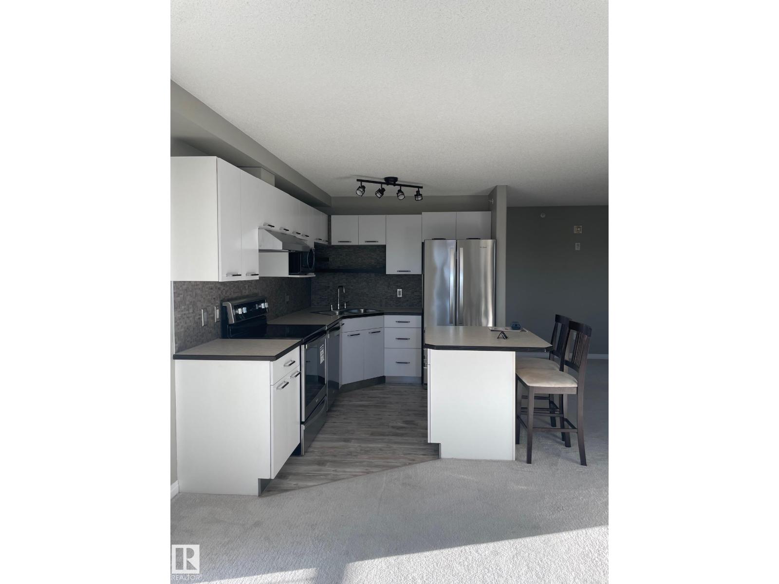 #509 11325 83 St Nw, Edmonton, Alberta  T5B 4W5 - Photo 3 - E4482032