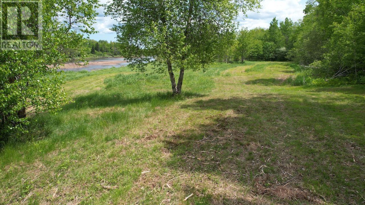 6327 Hwy 321 Highway, Roslin, Nova Scotia  B0M 1P0 - Photo 17 - 202607185