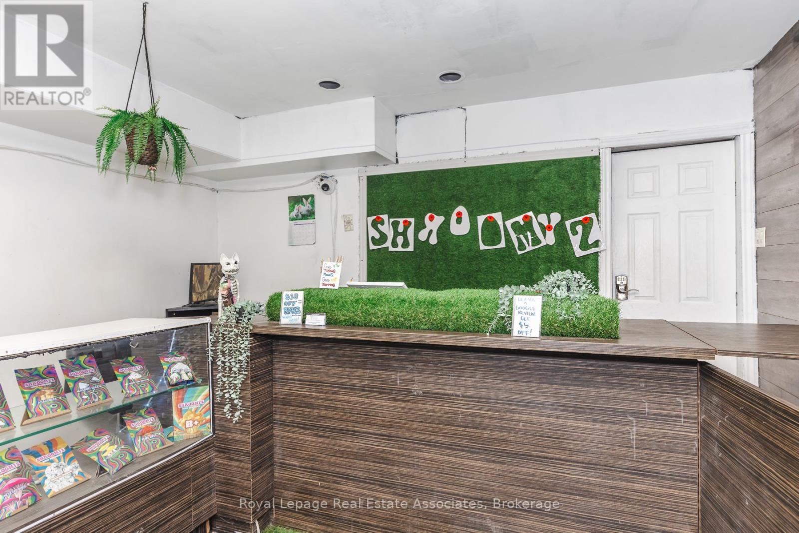 452 Queen Street W, Toronto, Ontario  M5V 2A8 - Photo 6 - C12990792