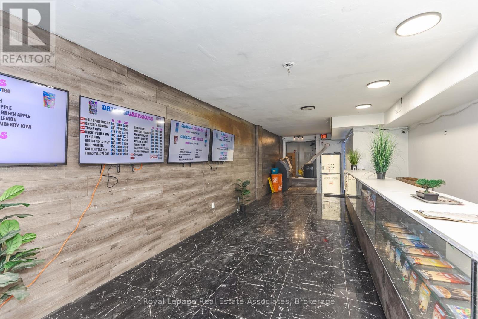 452 Queen Street W, Toronto, Ontario  M5V 2A8 - Photo 8 - C12990792