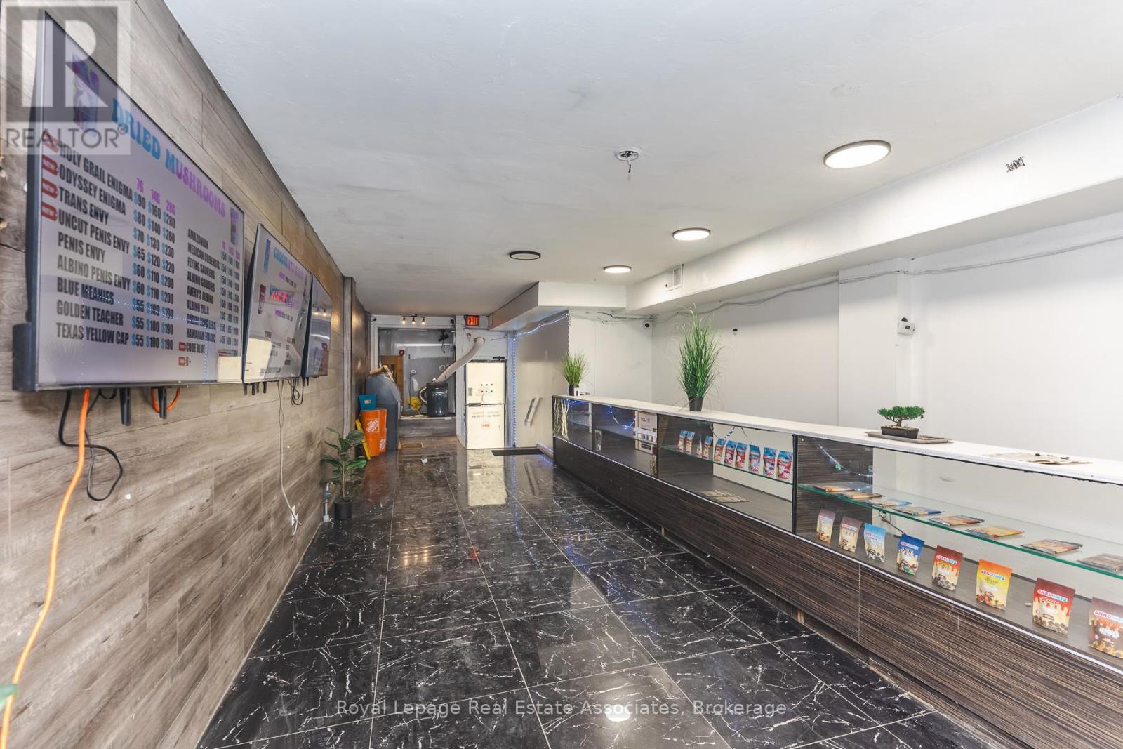 452 Queen Street W, Toronto, Ontario  M5V 2A8 - Photo 9 - C12990792