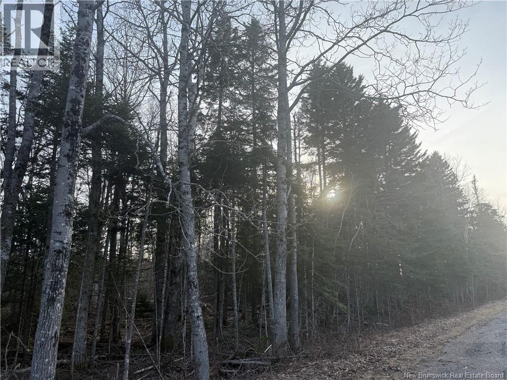 Mckay Loop Road, Pennfield, New Brunswick  E5H 2L2 - Photo 3 - NB136960