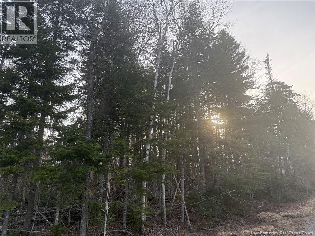 Mckay Loop Road, Pennfield, New Brunswick  E5H 2L2 - Photo 6 - NB136960