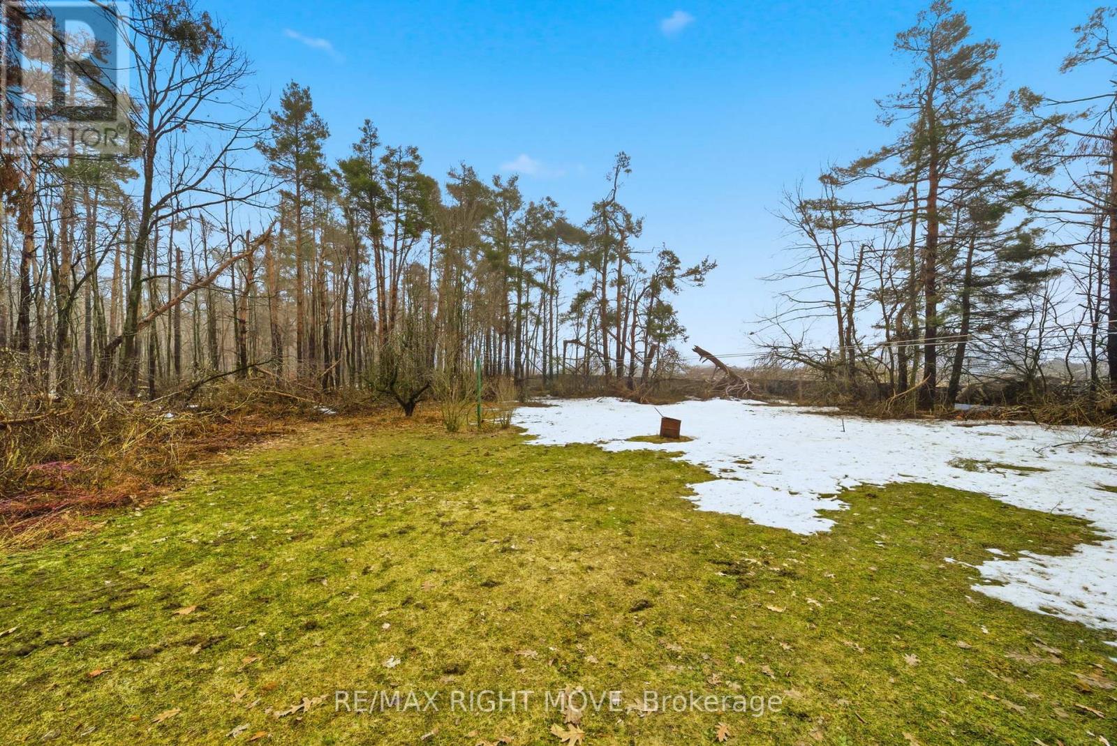 3149 Barrie Hill Road, Springwater, Ontario  L4M 4S4 - Photo 16 - S12990932