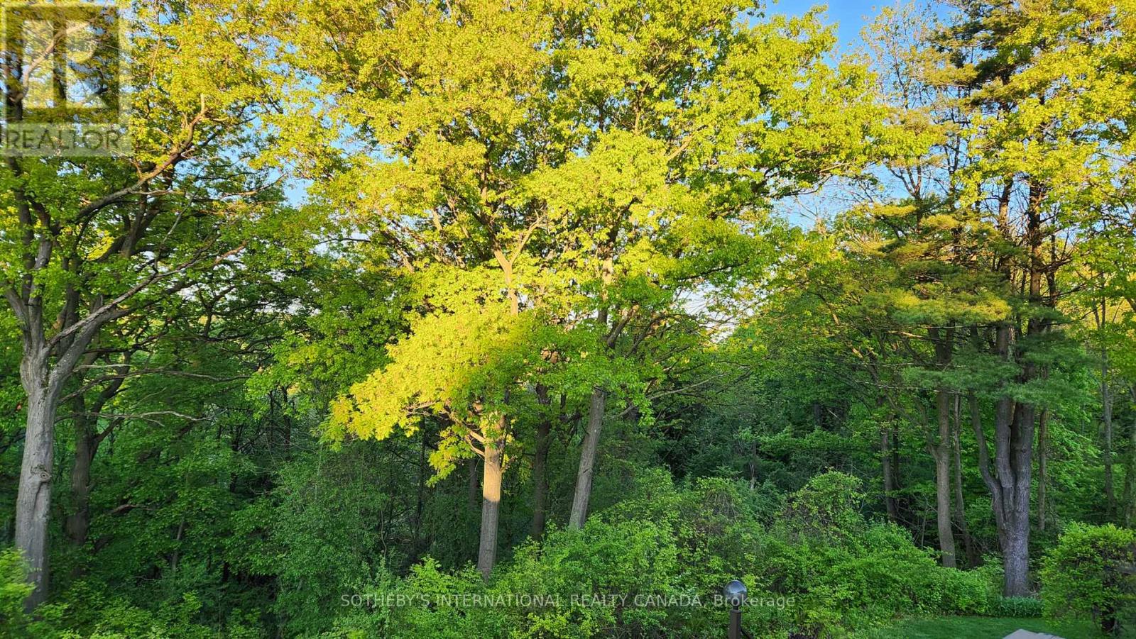 20 Ridgeview Court, Hamilton, Ontario  L9G 3X9 - Photo 47 - X12984370