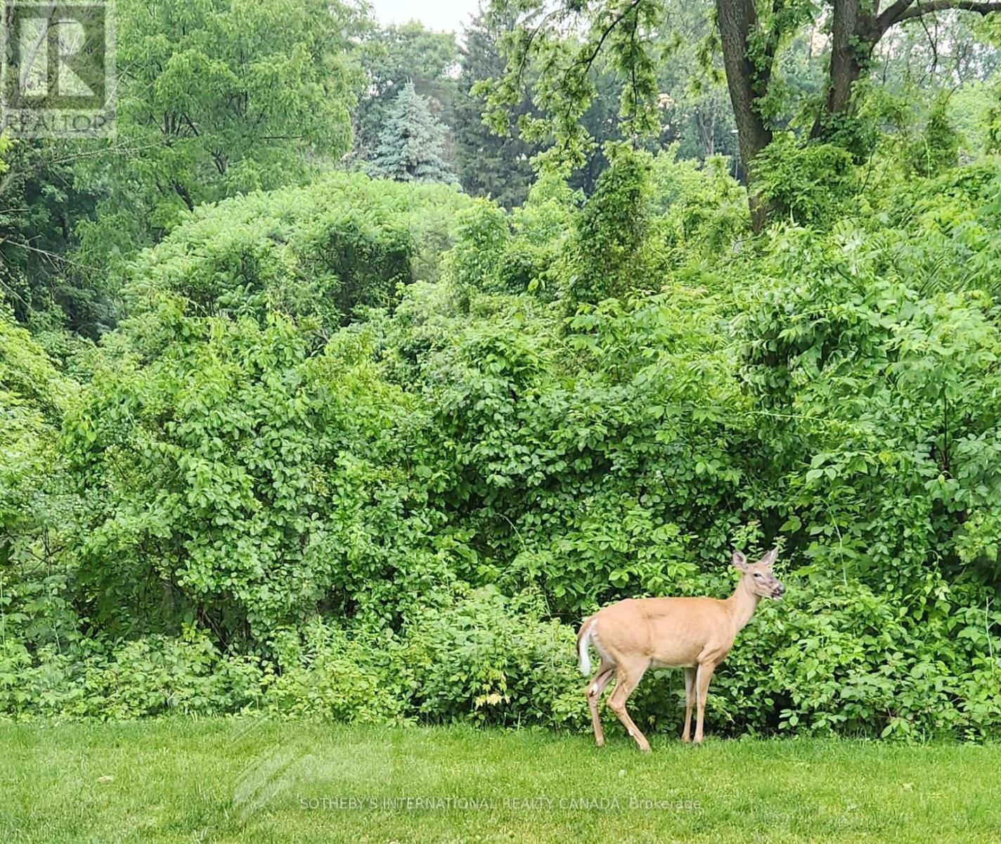 20 Ridgeview Court, Hamilton, Ontario  L9G 3X9 - Photo 44 - X12984370