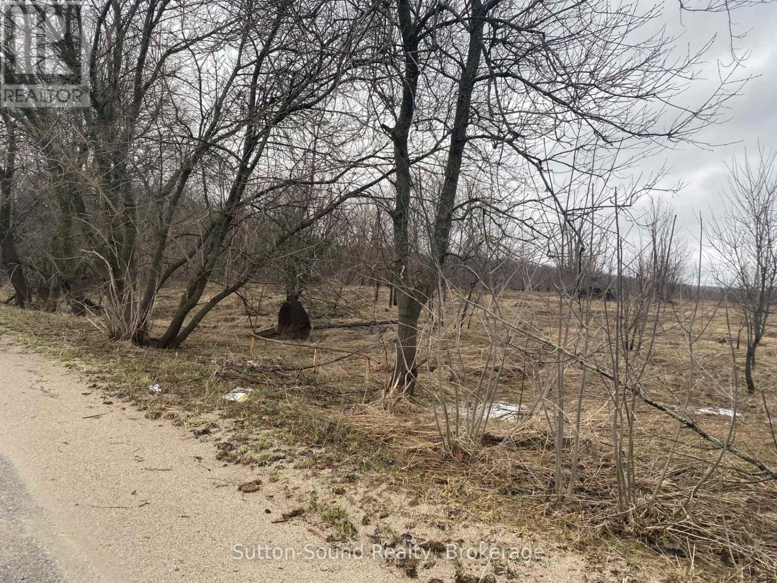 N/a Division/cruickshank Street, Georgian Bluffs, Ontario  N0H 2K0 - Photo 2 - X12988414