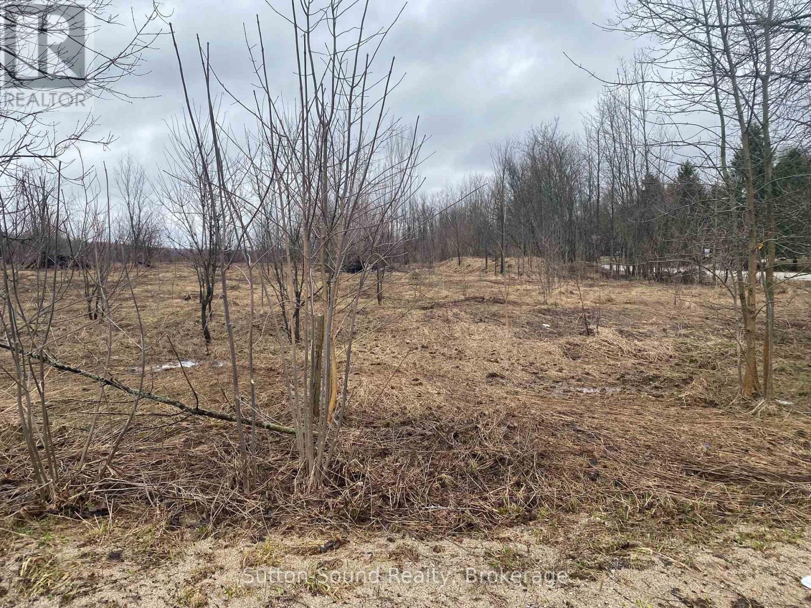 N/a Division/cruickshank Street, Georgian Bluffs, Ontario  N0H 2K0 - Photo 3 - X12988414