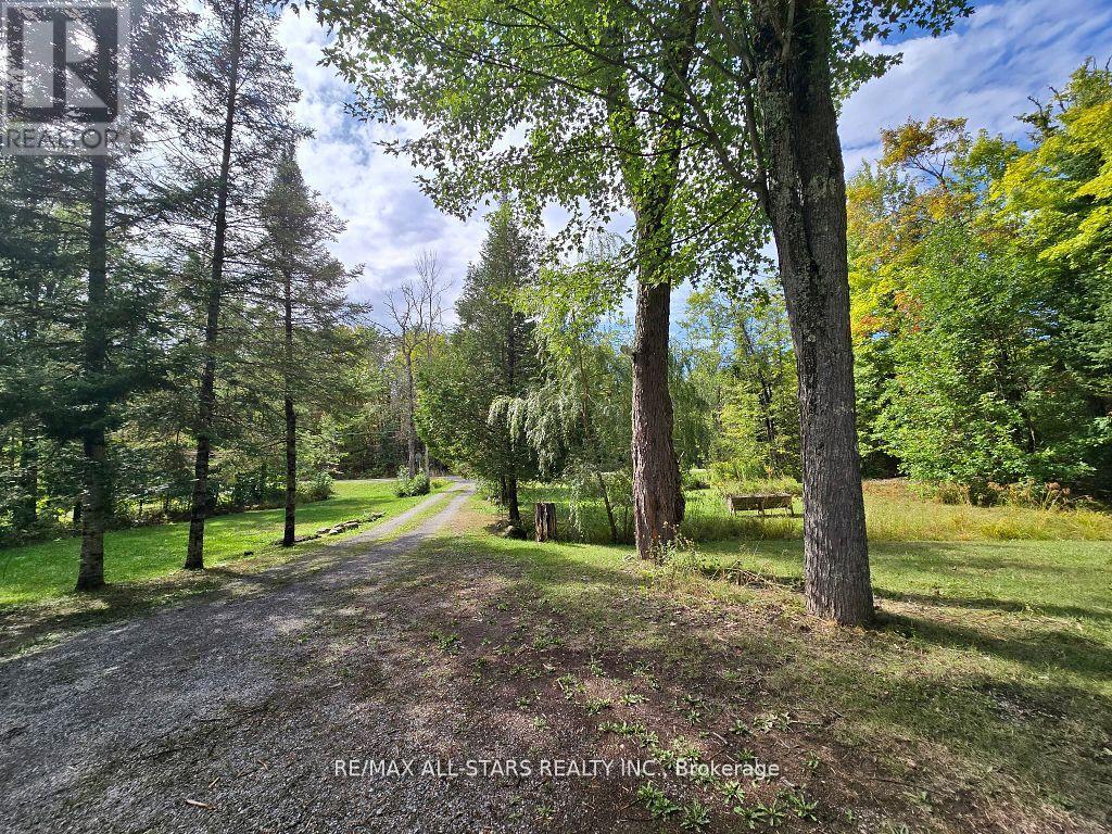 47 Kennedy Drive, Trent Lakes, Ontario  K0M 1A0 - Photo 24 - X12991164