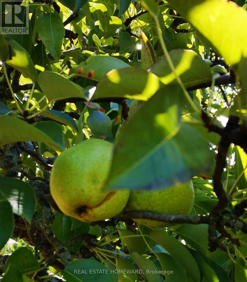 33 Strathcona Drive, St. Catharines, Ontario  L2M 2A8 - Photo 47 - X12853562