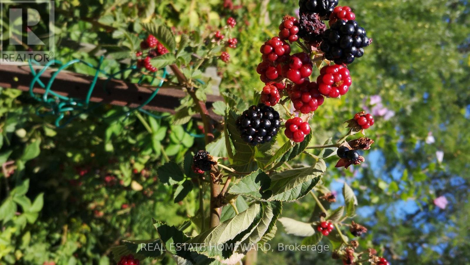 33 Strathcona Drive, St. Catharines, Ontario  L2M 2A8 - Photo 43 - X12853562