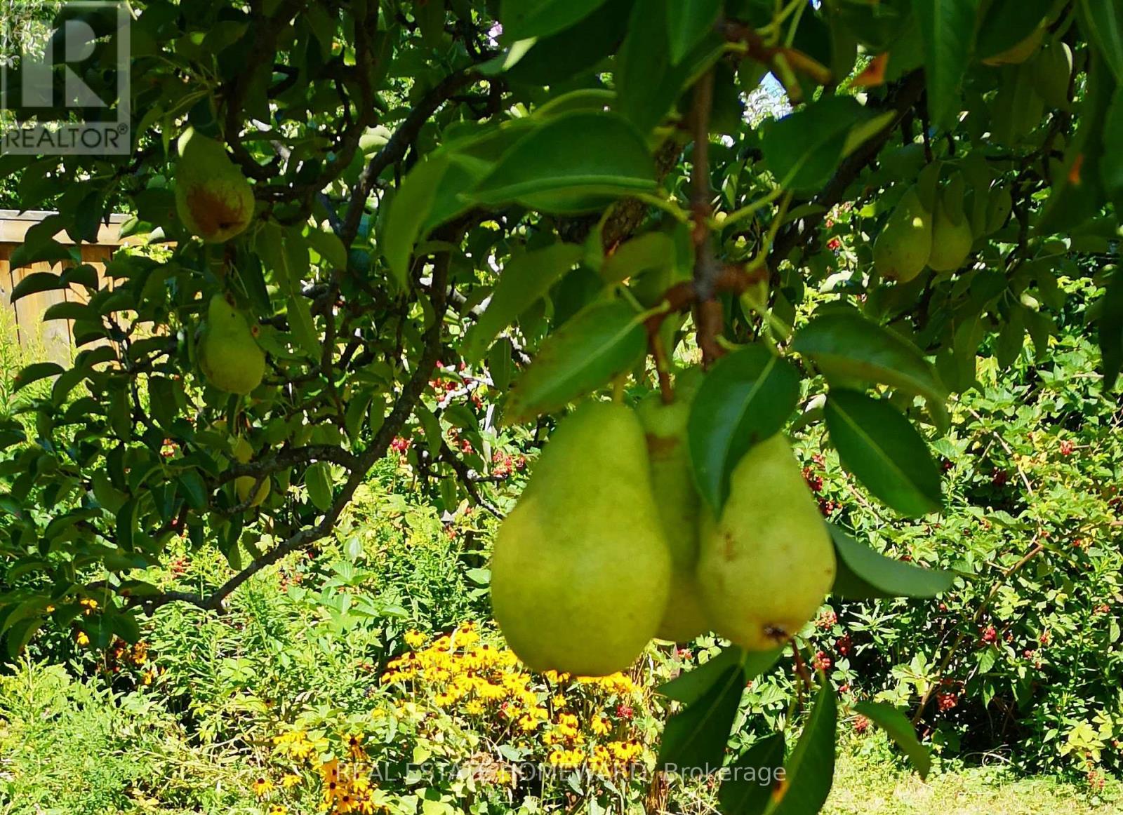 33 Strathcona Drive, St. Catharines, Ontario  L2M 2A8 - Photo 46 - X12853562