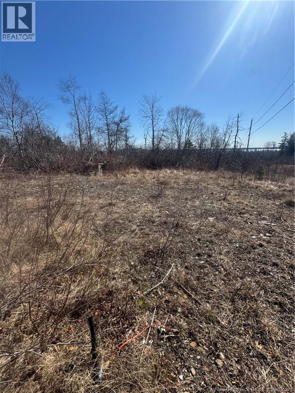 90 Foster Hill Road, Grand Manan, New Brunswick  E5G 2G6 - Photo 3 - NB137043