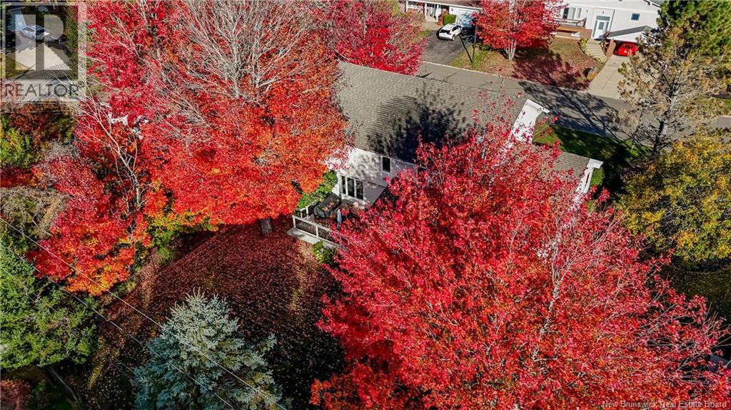 6 Spruce Garden Court, Riverview, New Brunswick  E1B 4P7 - Photo 44 - NB128470