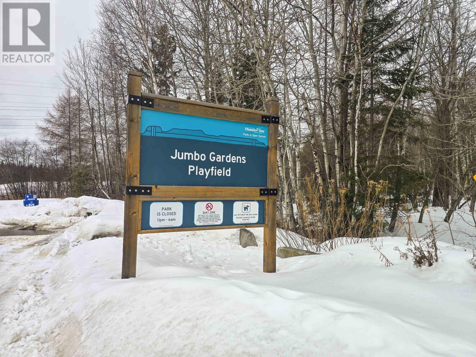 410 Jameson St, Thunder Bay, Ontario  P7G 1E2 - Photo 47 - TB2600599