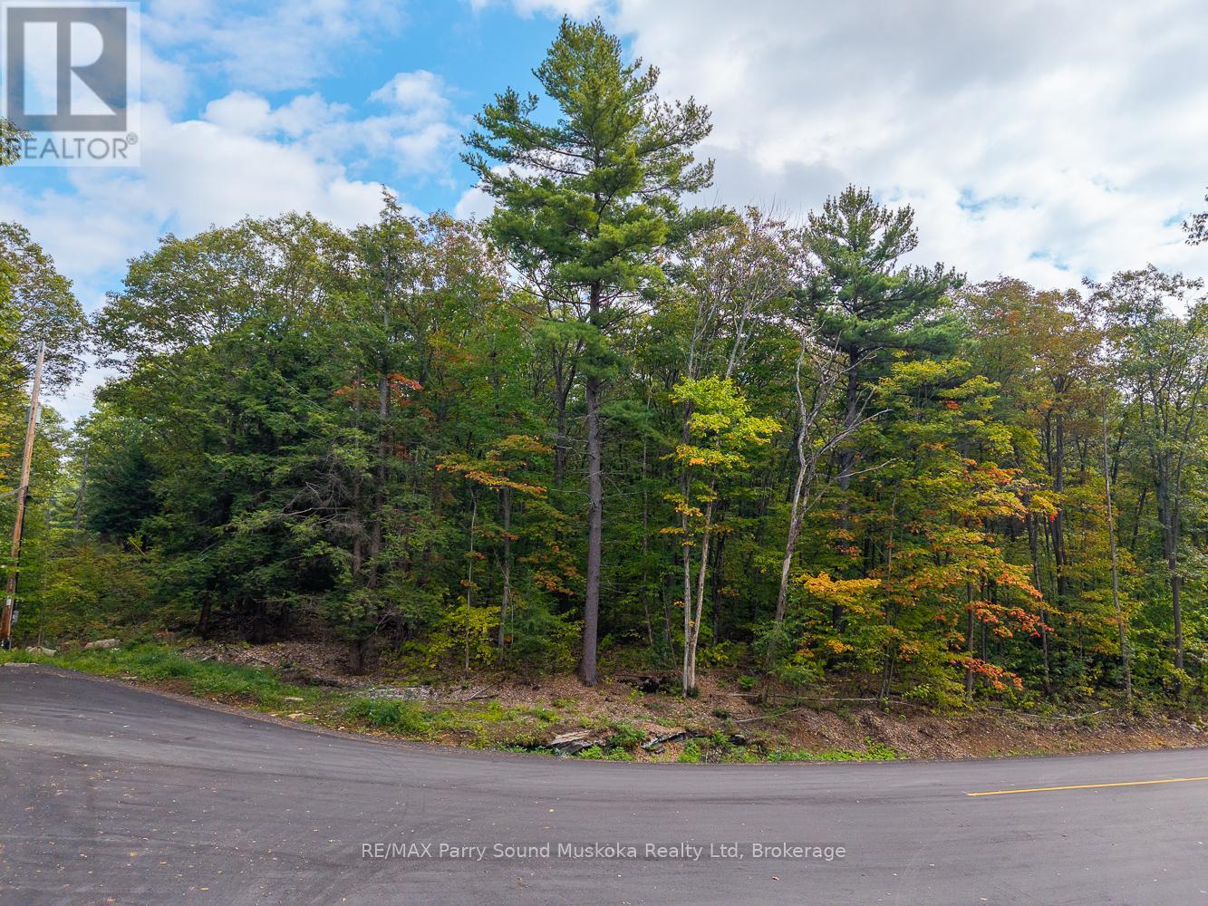 15 Oakridge Road N, Mcdougall, Ontario  P2A 2W9 - Photo 4 - X12991364