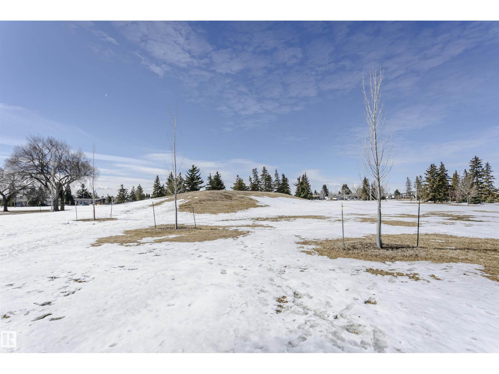 8109 132a Av NW, Edmonton, Alberta  T5C 2C9 - Photo 48 - E4481841