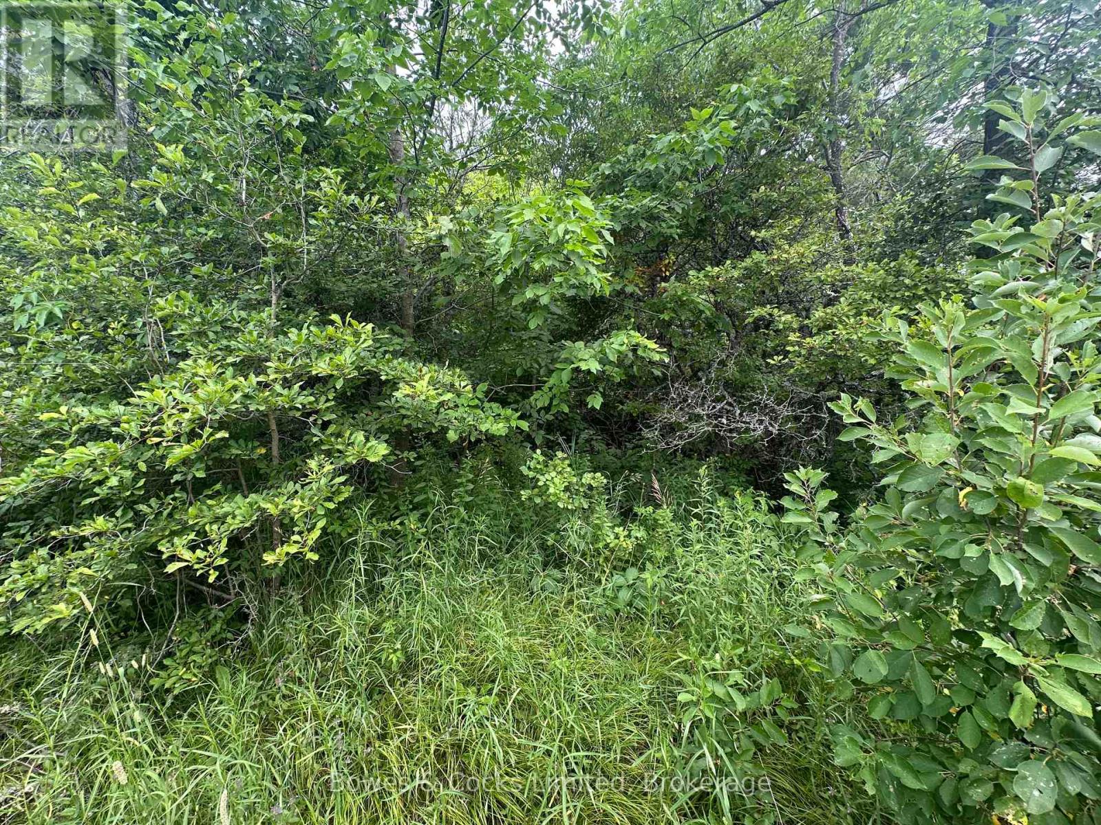 0 Centre Line Road, Marmora And Lake, Ontario  K0K 2M0 - Photo 12 - X12991380