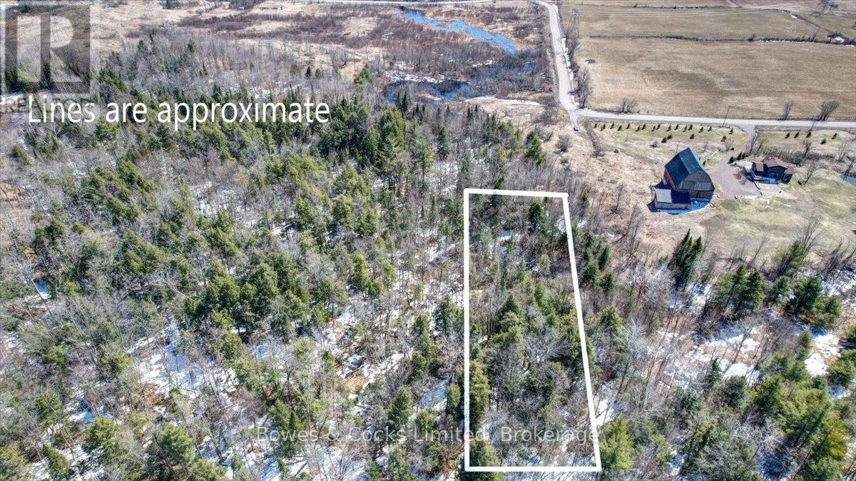 0 Centre Line Road, Marmora And Lake, Ontario  K0K 2M0 - Photo 7 - X12991380
