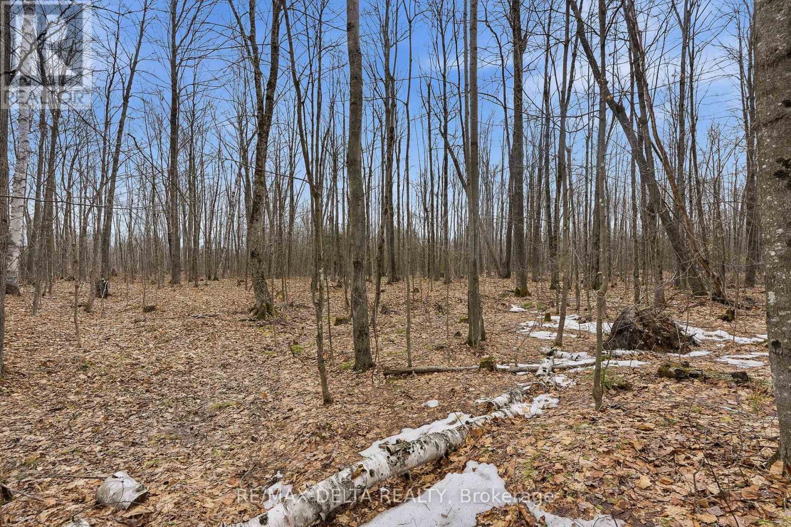 00 Part Of Lot 11 Gagne Road, Clarence-Rockland, Ontario K0A 2A0 - Photo 13 - X12991456