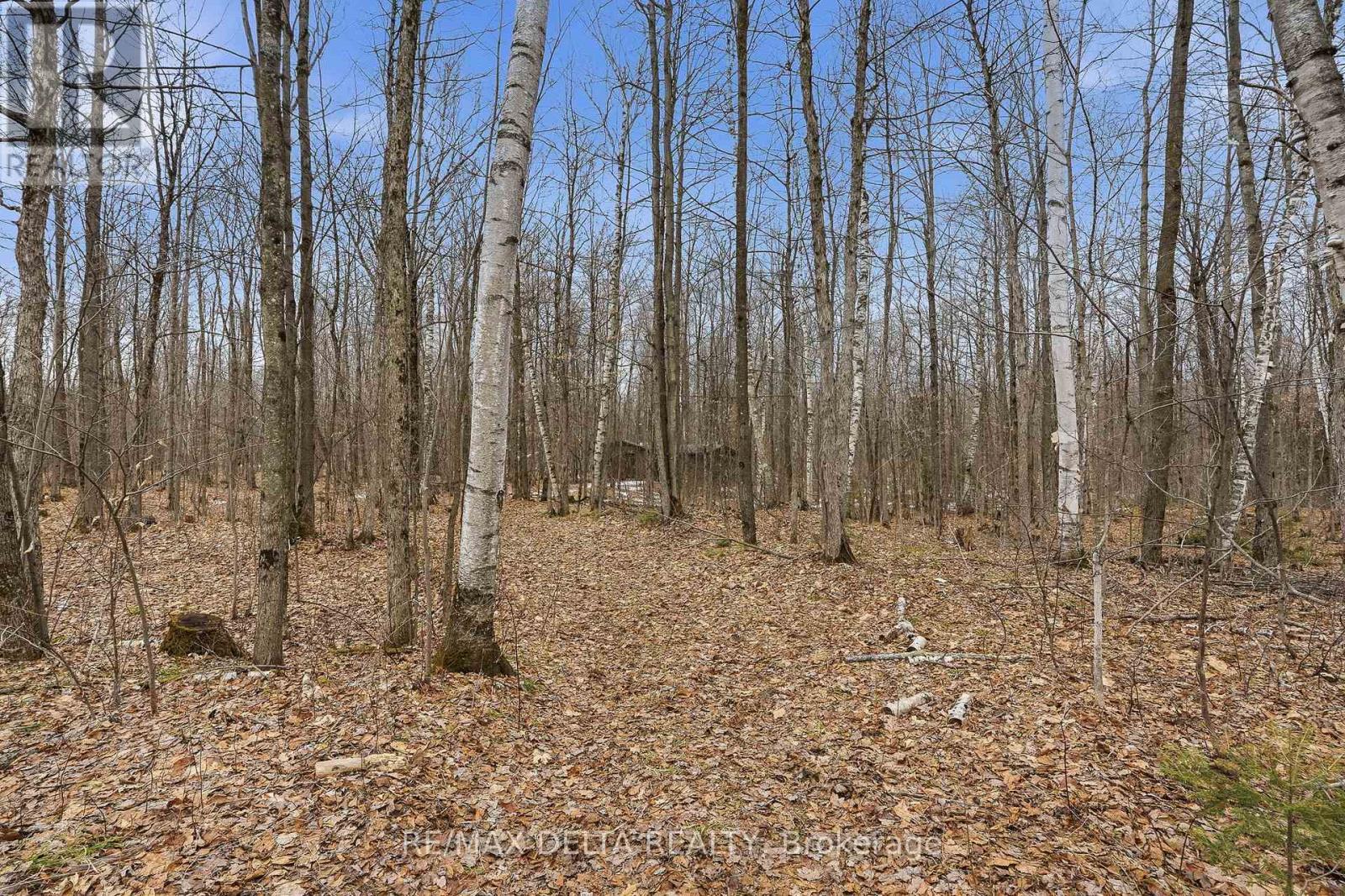 00 Part Of Lot 11 Gagne Road, Clarence-Rockland, Ontario K0A 2A0 - Photo 14 - X12991456