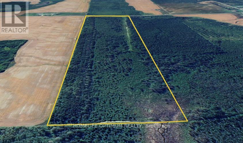 76 Acres In Glackmeyer Township Pcl 3225, Cochrane, Ontario  P0L 1C0 - Photo 8 - T12730138