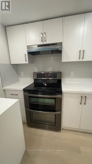 Bsmt - 103 Sandringham Drive, Clarington, Ontario  L1E 1Y4 - Photo 7 - E12991466