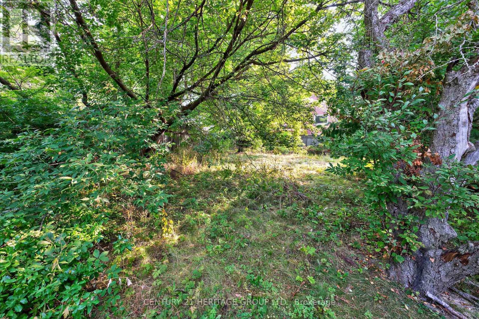 117 Lucas Street, Richmond Hill, Ontario  L4C 4P4 - Photo 31 - N12991248