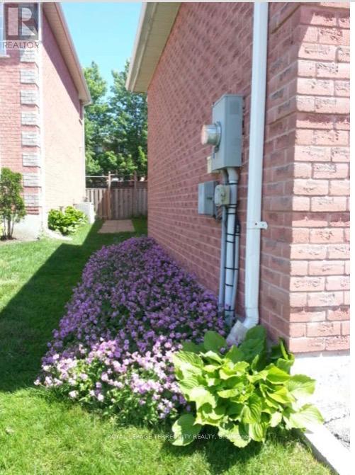 35 Raquel Street, Barrie, Ontario  L4N 9S4 - Photo 33 - S12987670