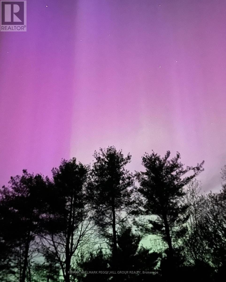 1002 Cowbell Lane, Gravenhurst, Ontario  P0E 1N0 - Photo 44 - X12991446