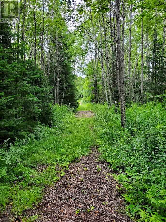 398 Highway 522, Powassan, Ontario  P0H 2L0 - Photo 44 - X12991556