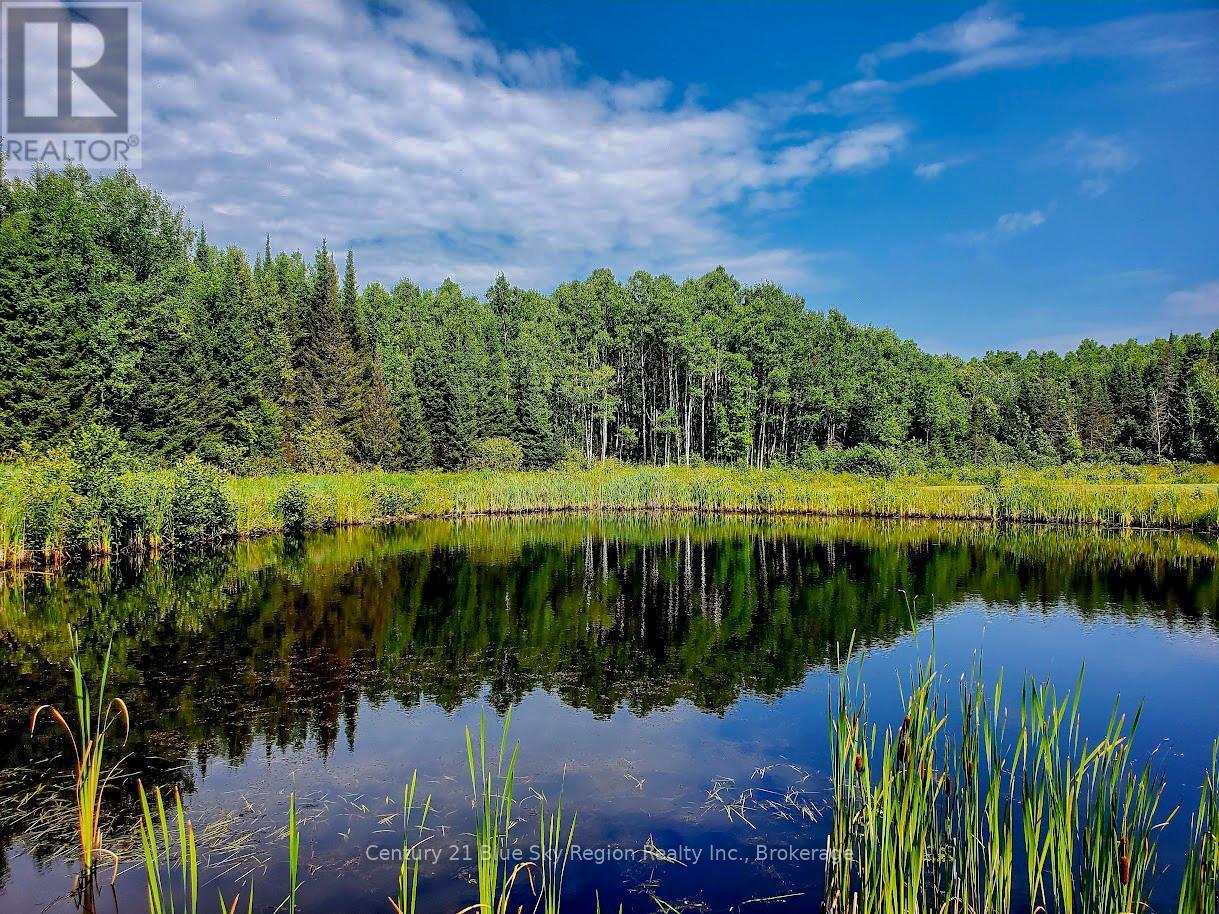 398 Highway 522, Powassan, Ontario  P0H 2L0 - Photo 45 - X12991556