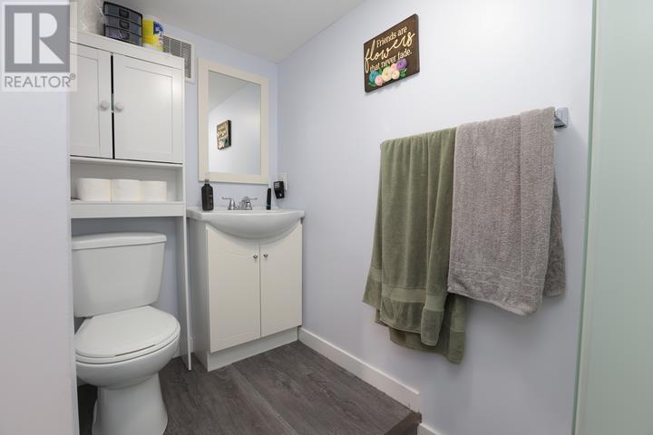 247 Willow Ave, Sault Ste. Marie, Ontario  P6B 5B4 - Photo 42 - SM260446