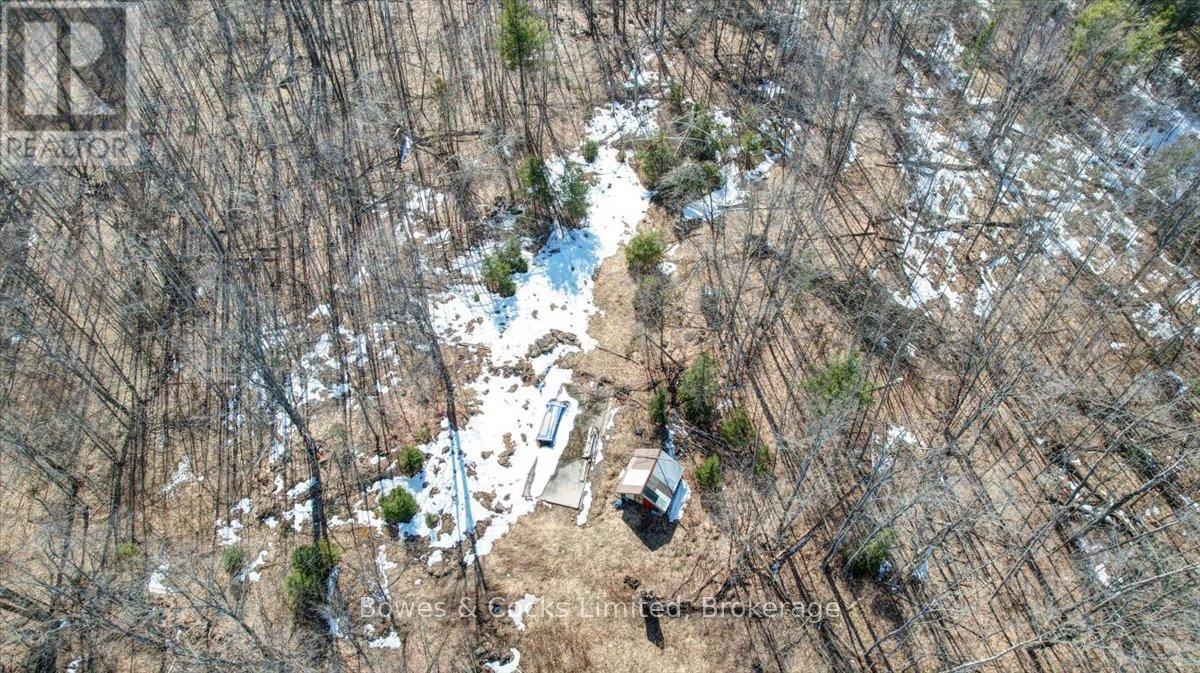 2981 County Road 44, Havelock-Belmont-Methuen, Ontario  K0L 1Z0 - Photo 5 - X12991522