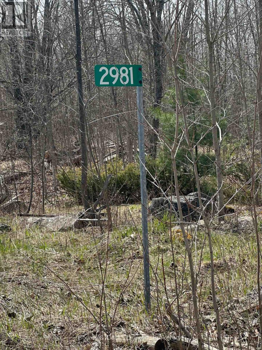 2981 County Road 44, Havelock-Belmont-Methuen, Ontario  K0L 1Z0 - Photo 7 - X12991522